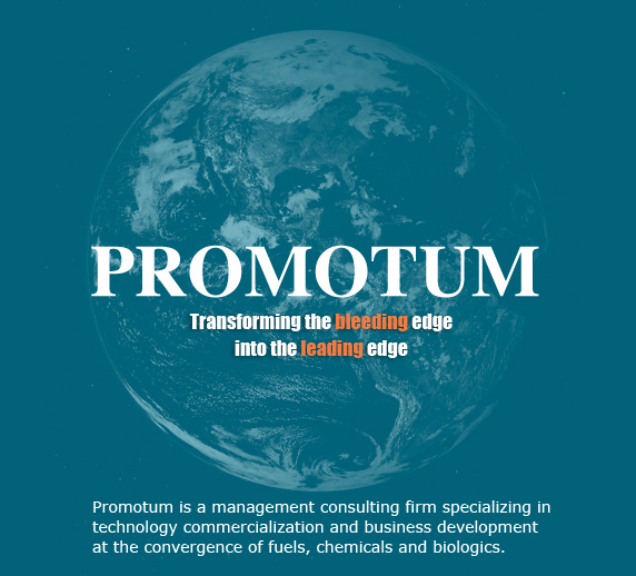 Promotum
